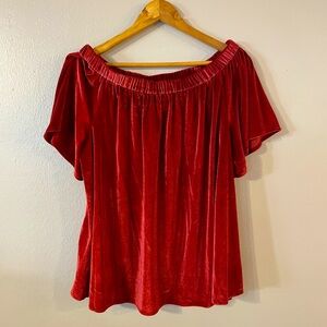 NWT Chelsea & Theodore Velvet Blouse